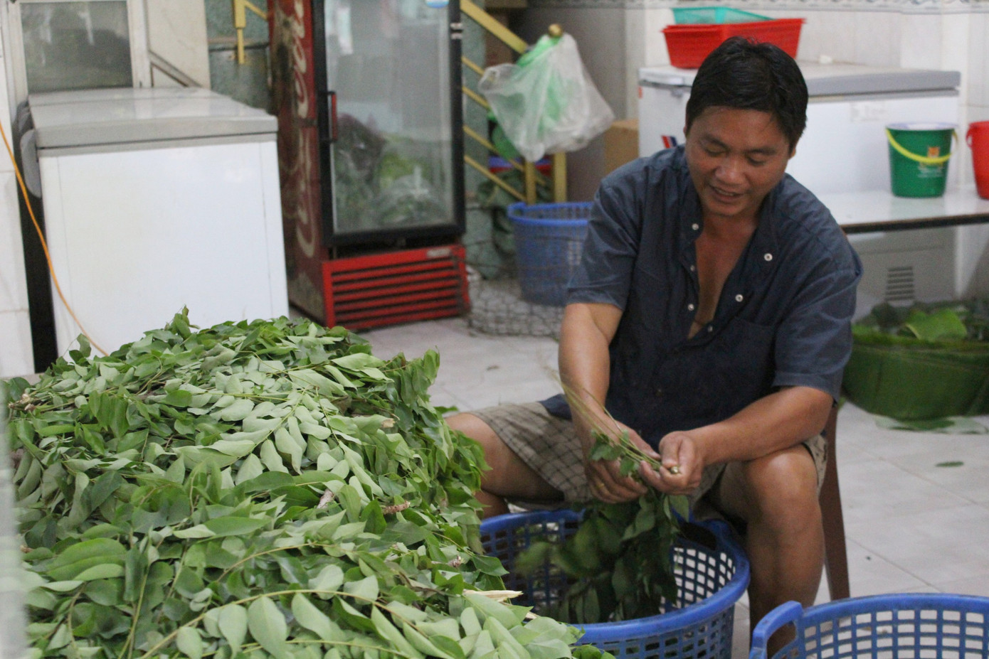 Lá chùm ruột được chọn mua từ chiều hôm trước để giữ được độ tươi, đây là nguyên liệu tạo nên vị thơm đặc trưng của nem Ninh Hòa.