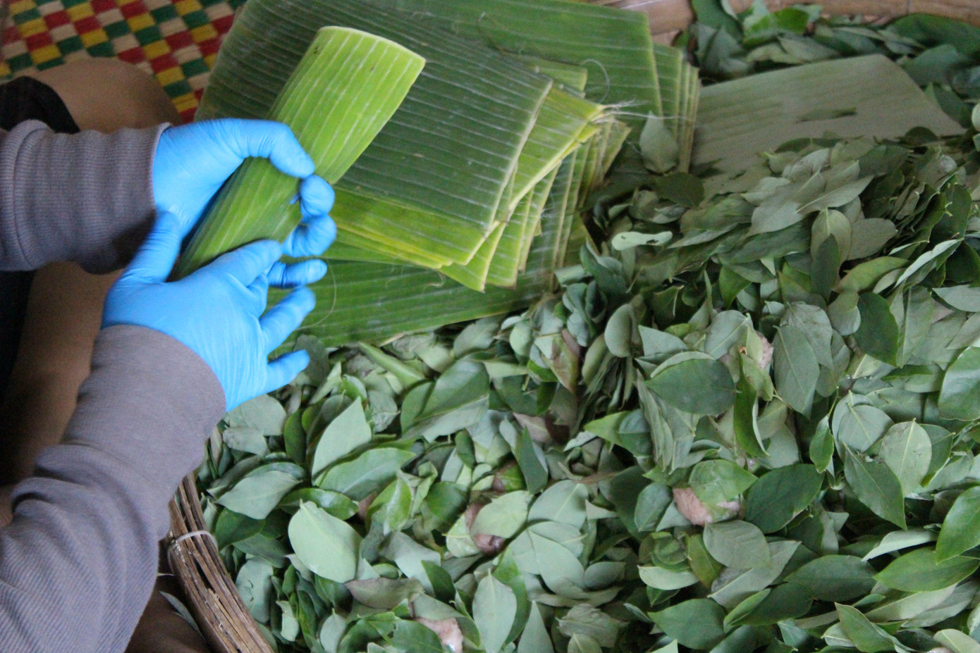 Những chiếc nem màu hồng nhạt nằm lẫn vào trong từng lớp lá chùm ruột xanh mơn mởn.