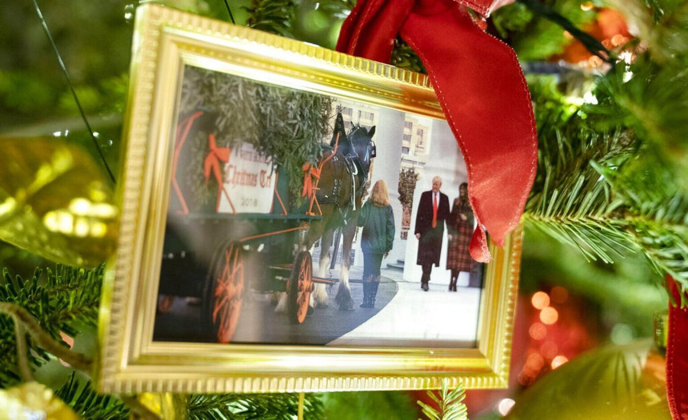 ...và bức ảnh của cựu Tổng thống Donald Trump dù trước đó ông Trump không tham dự lễ nhậm chức của ông Joe Biden.