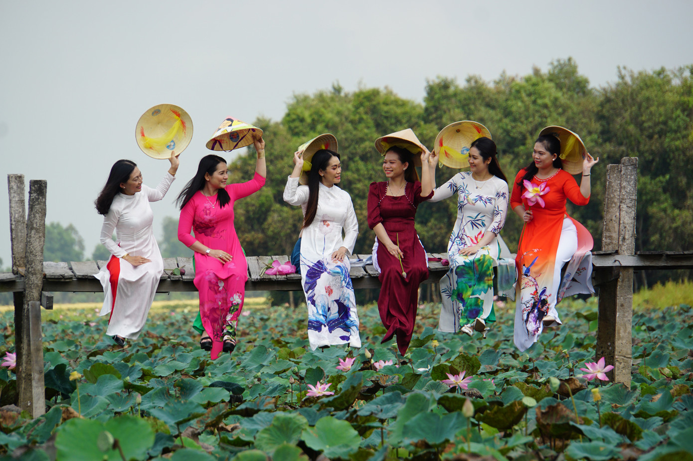 Du lịch Đồng Tháp phát triển. Du lịch Đồng Tháp phát triển.