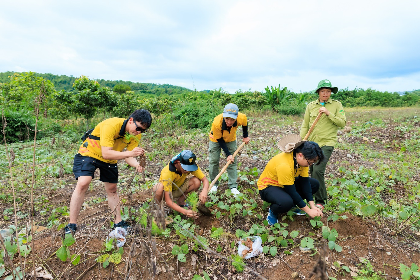 Những cây xanh được đóng góp từ những bước chạy của các thành viên InterLOG