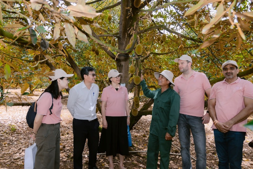 Bà Josefine Wallet, Tổng Lãnh sự CHLB Đức tại TPHCM (giữa) tham quan vườn sầu riêng của ông Nguyễn Văn Sứ (thôn 4, xã Cư Suê, huyện Cư M’gar, Đắk Lắk).