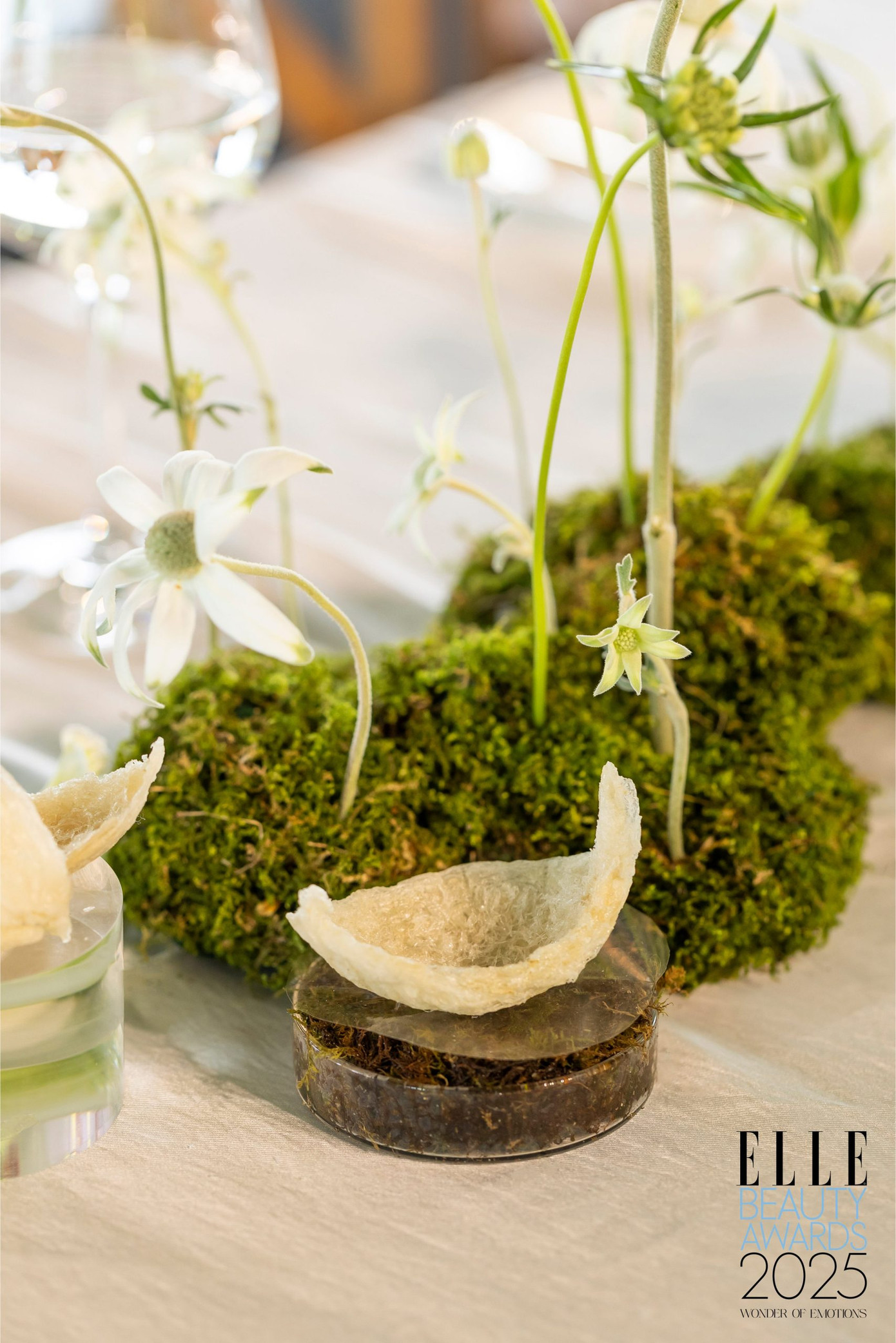 Workshop của lòng biết ơn – nơi xúc cảm nở hoa từ thinh lặng. Workshop của lòng biết ơn – nơi xúc cảm nở hoa từ thinh lặng.