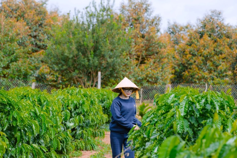 Vườn cà phê của bà H Nhung Mlô phát triển tốt khi ứng dụng các giải pháp của Bayer và các đối tác