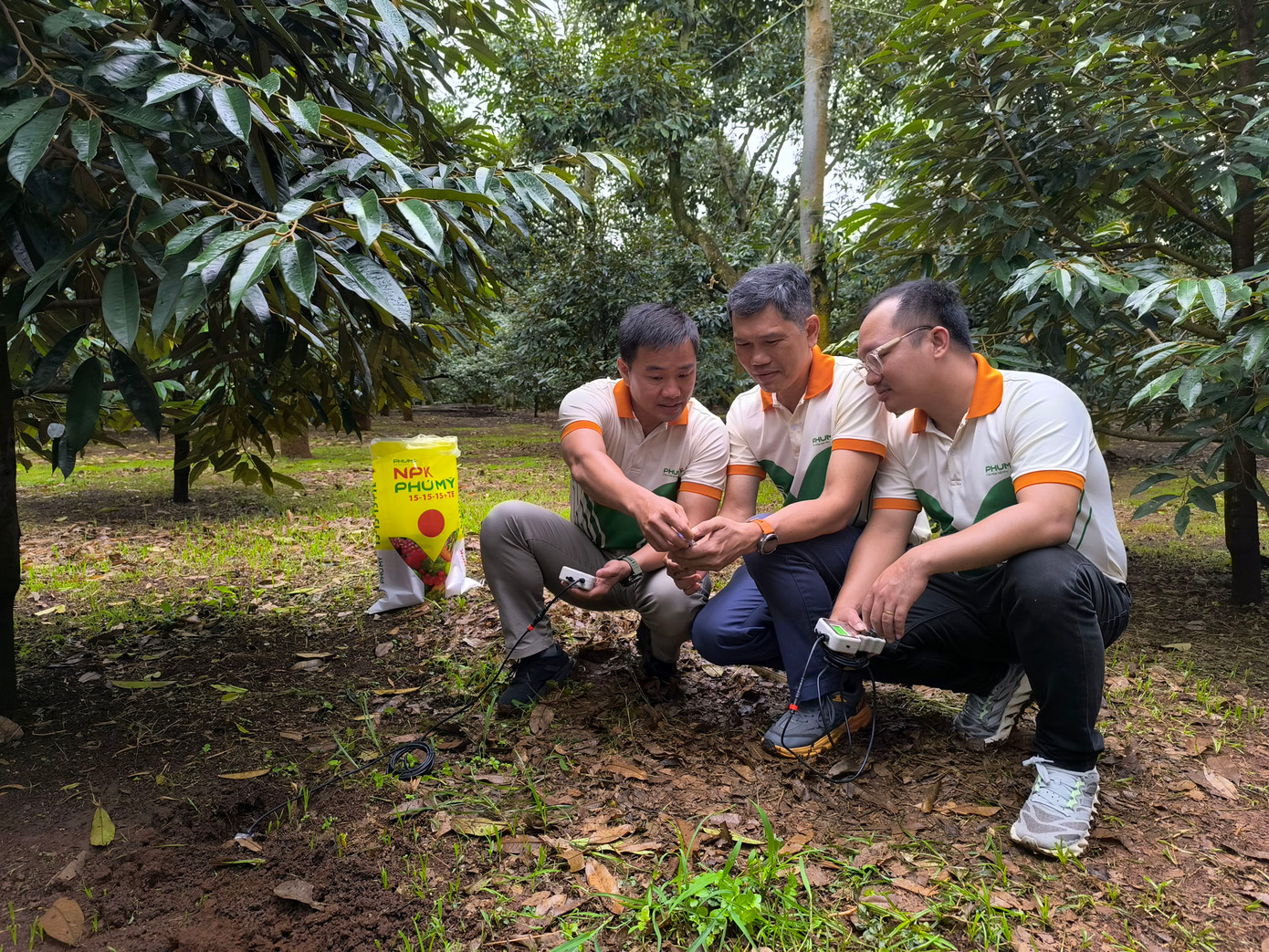 Phú Mỹ triển khai đo dinh dưỡng đất thông minh, ứng dụng công nghệ tiên tiến