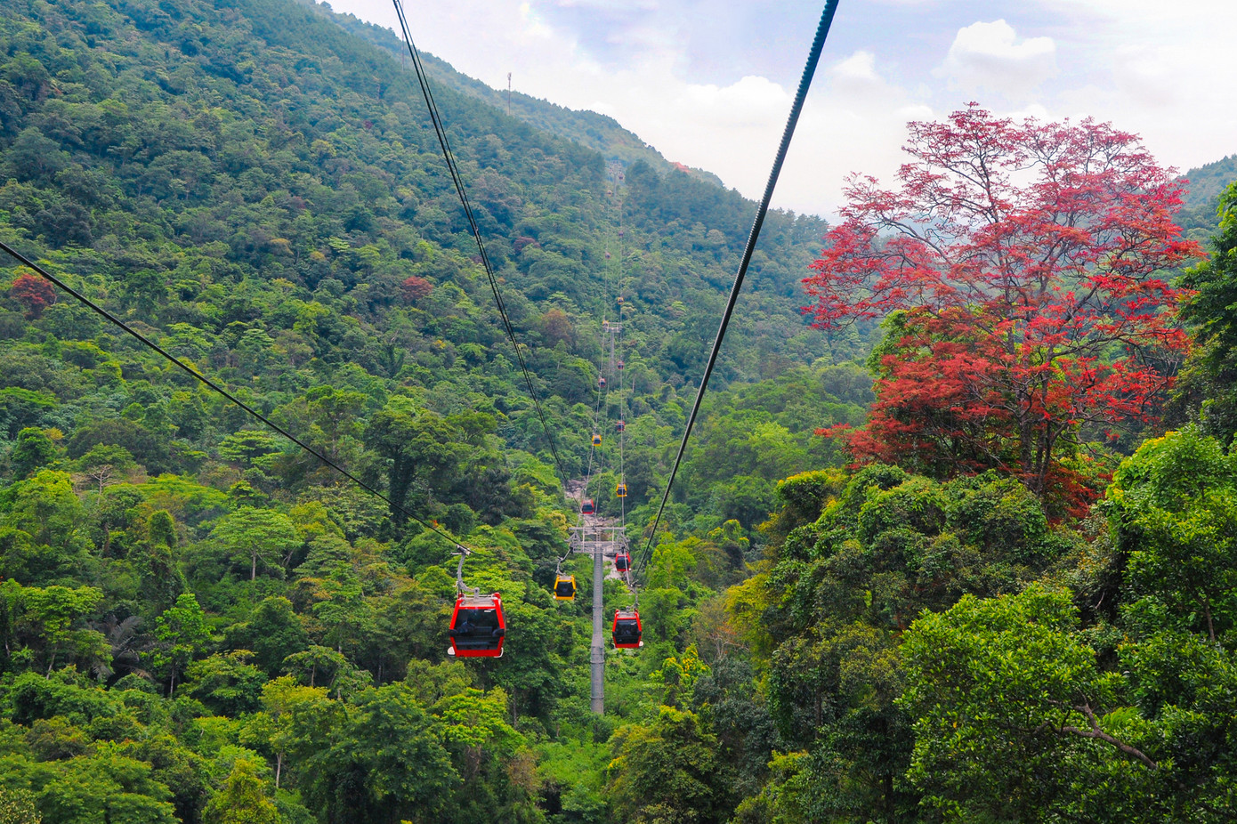 Cáp treo Tây Thiên băng qua những cánh rừng già xanh mướt Cáp treo Tây Thiên băng qua những cánh rừng già xanh mướt
