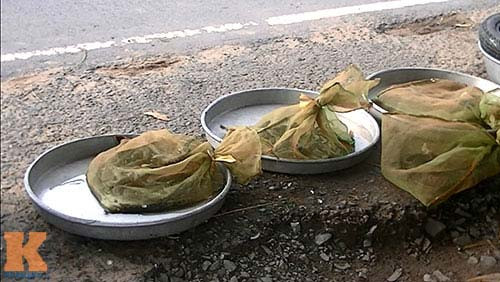 Những con rắn độc được phân loại và chứa trong các bao lưới