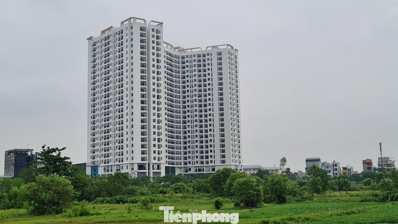 Phản ánh đến báo Tiền Phong, nhiều khách hàng mua nhà tại dự án Tecco Diamond Thanh Trì (Hà Nội) cho biết, dự án đến nay chưa được cơ quan có thẩm quyền nghiệm thu chất lượng công trình đủ điều kiện đưa vào sử dụng nhưng chủ đầu tư là Công ty Cổ phần Tổng công ty Tecco Hà Nội đã “đánh liều” gửi thông báo bàn giao cho khách hàng nhận nhà, bỏ qua các quy định về đảm bảo an toàn, coi thường tính mạng người dân.