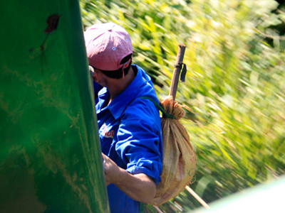 Một tiều phu chuẩn bị tiếp đất khi đoàn tàu vẫn còn lăn bánh. Ảnh: Nguyễn Đông. Một tiều phu chuẩn bị tiếp đất khi đoàn tàu vẫn còn lăn bánh. Ảnh: Nguyễn Đông