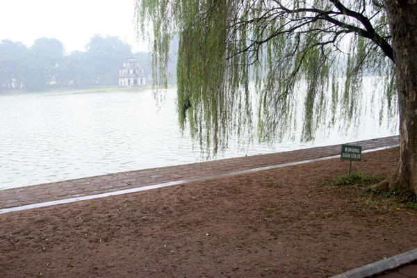 Như chưa từng có dấu vết của thảm cỏ 