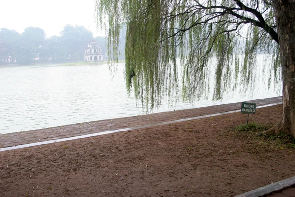 Như chưa từng có dấu vết của thảm cỏ 