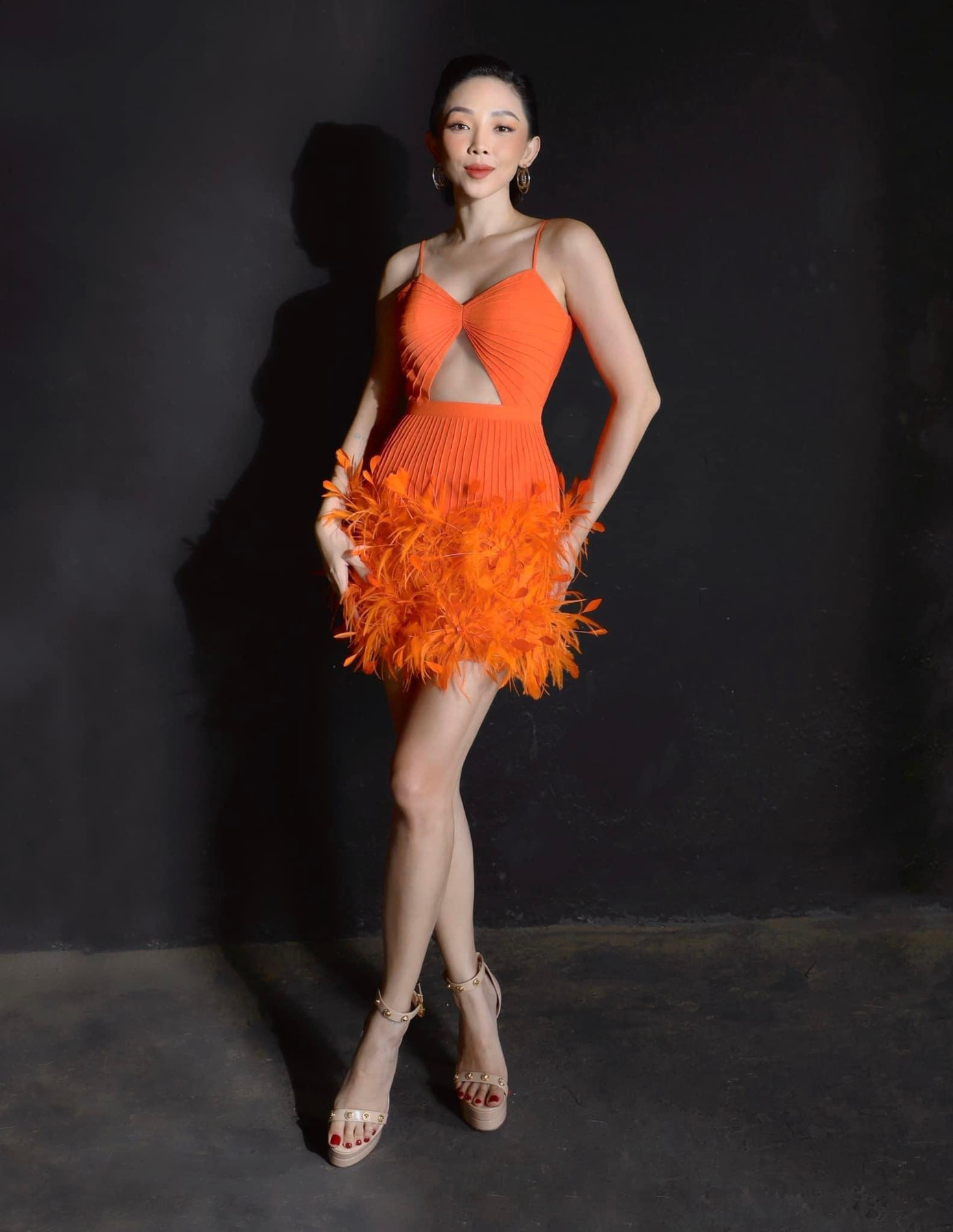 Sở hữu chiều cao ấn tượng 1m70 và vóc dáng săn chắc, nóng bỏng nên Tóc Tiên không ngần ngại khi 'đụng hàng' với các mỹ nhân đình đám của showbiz.