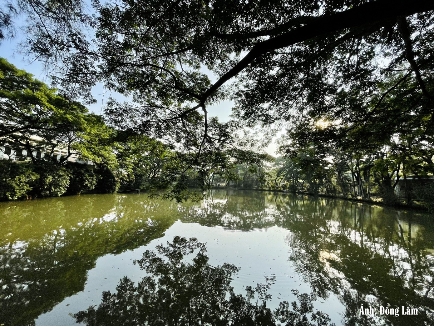 Bờ hồ rợp bóng cây xanh bên Khoa Kỹ thuật và Công nghệ.