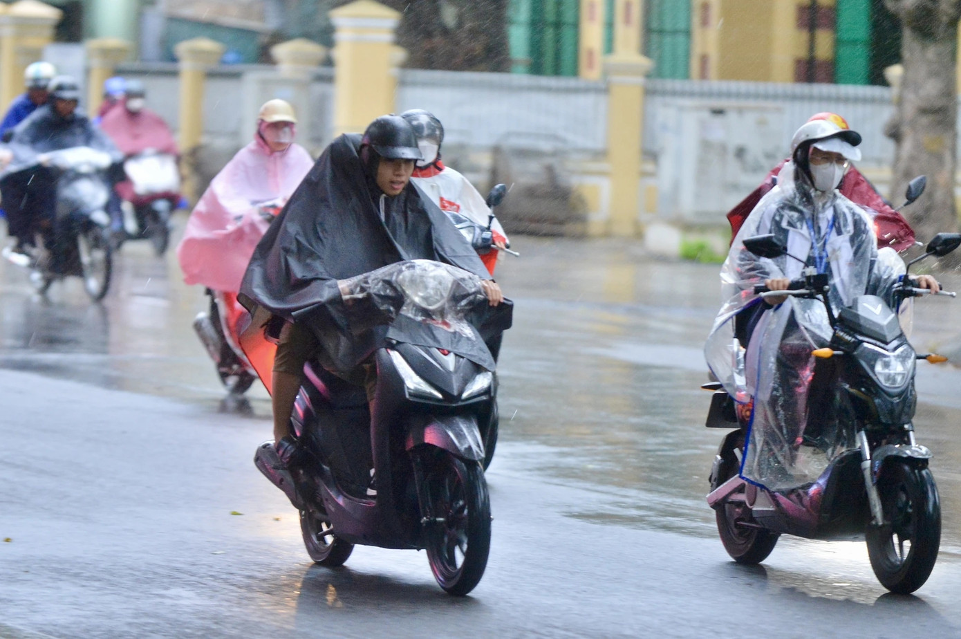 (Ảnh minh hoạ từ Internet)