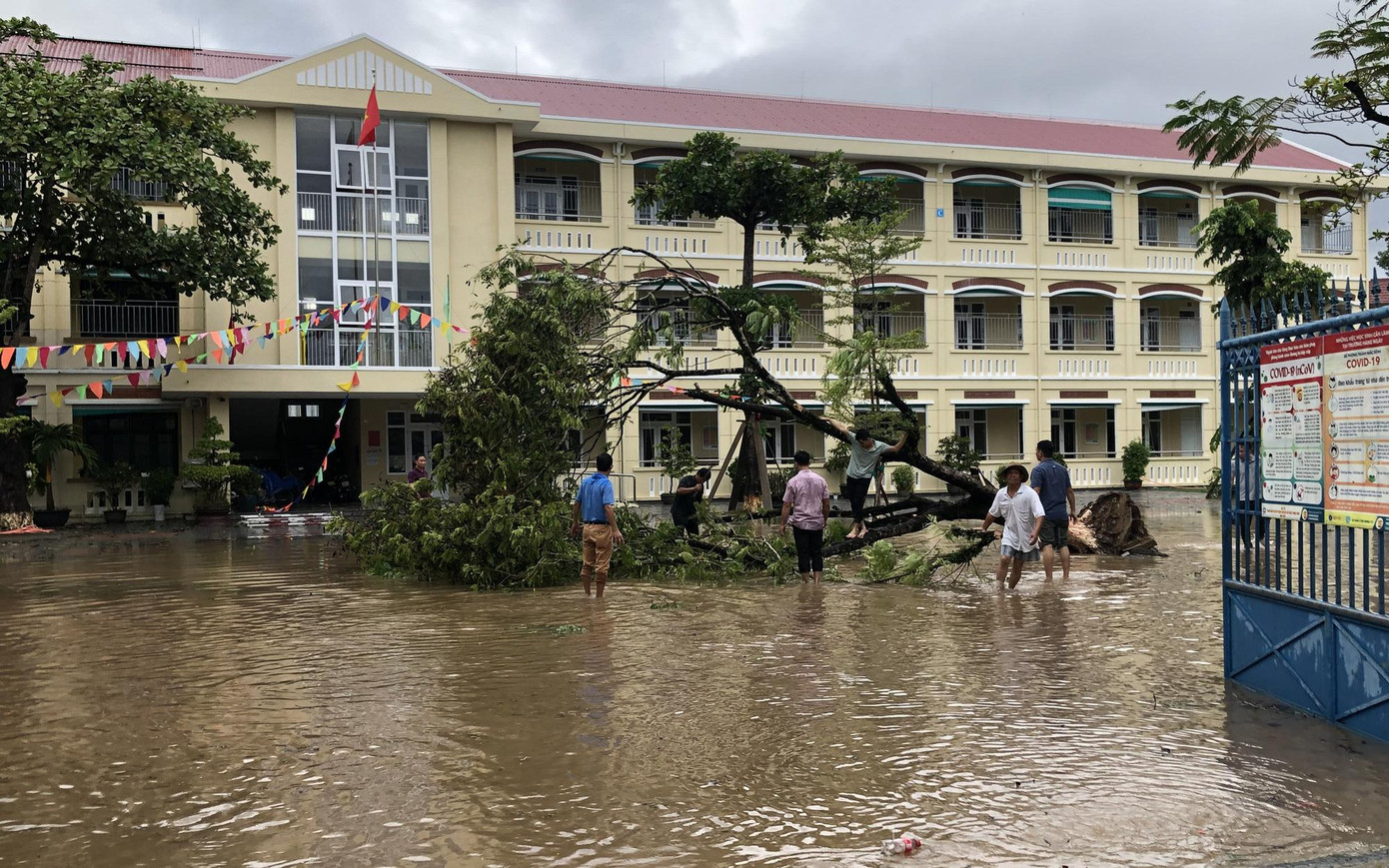 (Ảnh minh họa từ Internet)