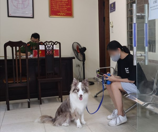 Cô gái trẻ bị phạt 2 triệu đồng khi dắt chó đi dạo. Cô gái trẻ bị phạt 2 triệu đồng khi dắt chó đi dạo.