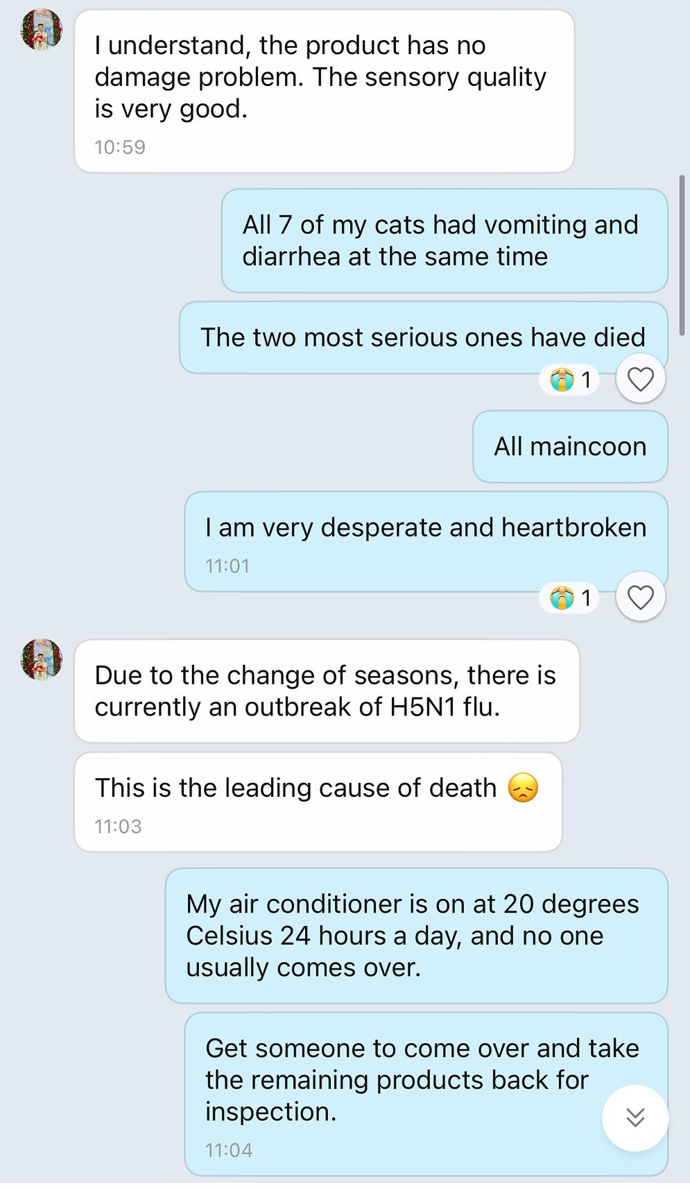 Trong tin nhắn trò chuyện do phía anh Z. chia sẻ, CEO P. cho rằng việc thay đổi thời tiết và sự bùng phát của dịch H5N1 là yếu tố khiến các bé mèo qua đời. Tuy nhiên sau đó, anh P. chia sẻ lại rằng mình chỉ phán đoán và chưa có kết luận chắc chắn. Trong tin nhắn trò chuyện do phía anh Z. chia sẻ, CEO P. cho rằng việc thay đổi thời tiết và sự bùng phát của dịch H5N1 là yếu tố khiến các bé mèo qua đời. Tuy nhiên sau đó, anh P. chia sẻ lại rằng mình chỉ phán đoán và chưa có kết luận chắc chắn.