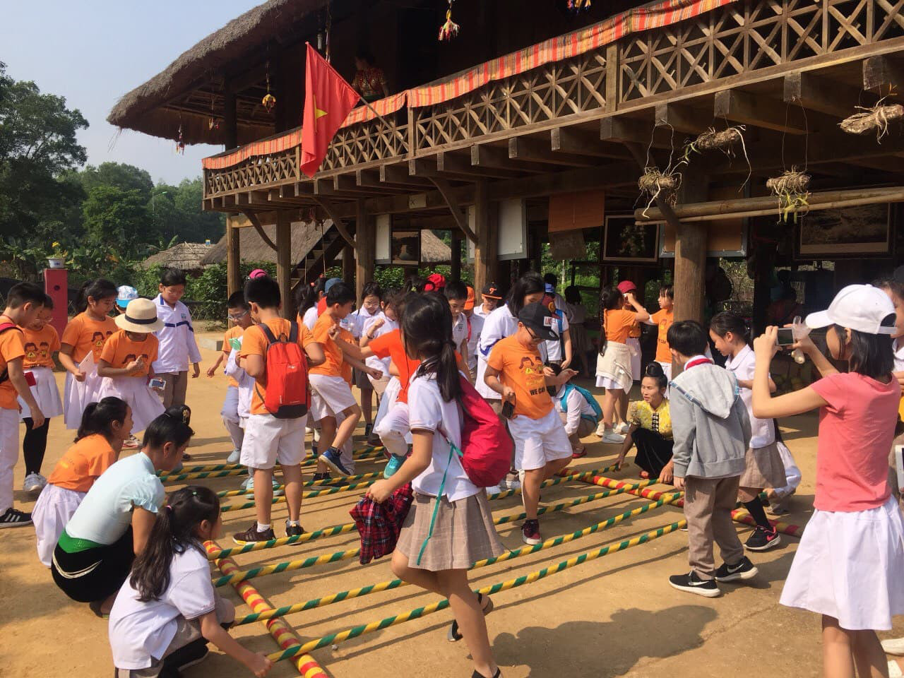 (Ảnh minh họa từ Internet)