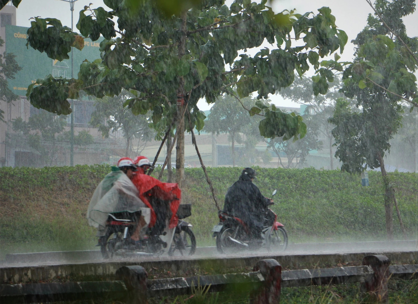 (Ảnh minh hoạ từ Internet)