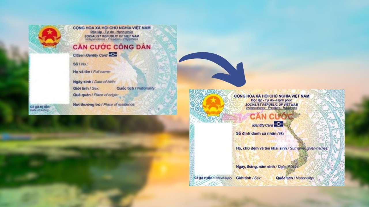 (Ảnh minh họa từ Internet)