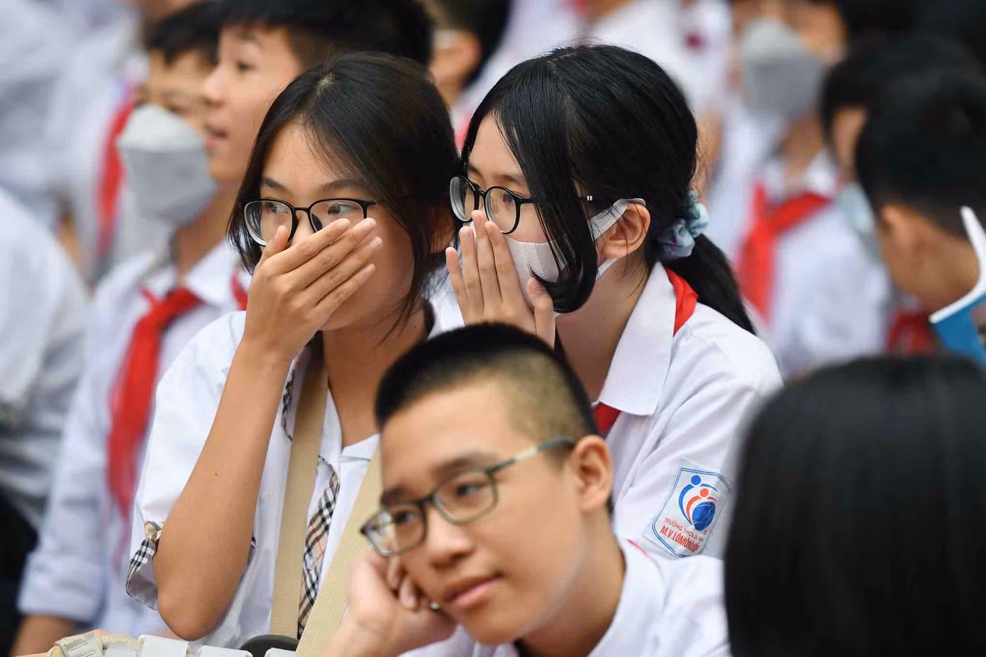 (Ảnh minh họa từ Internet)
