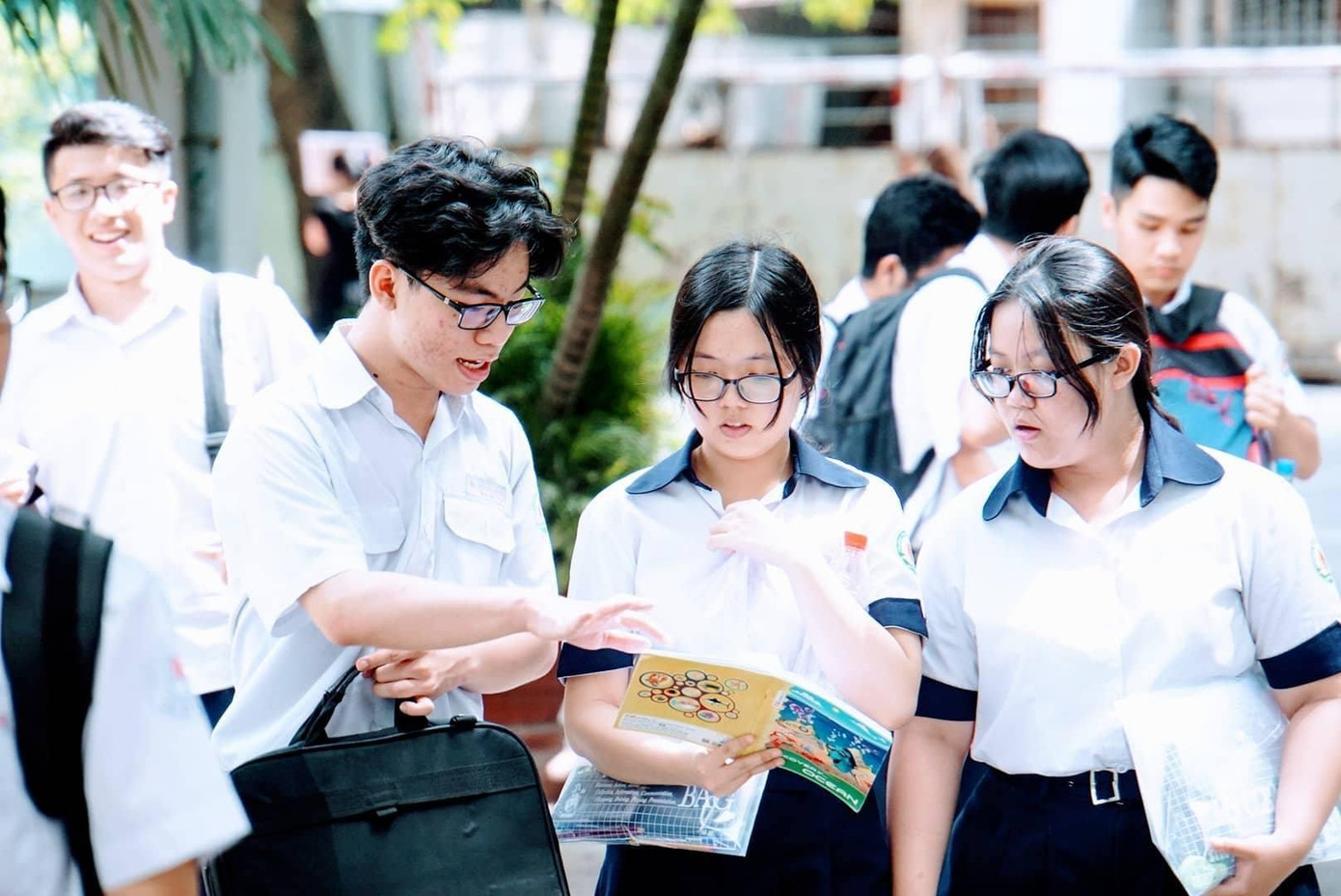 (Ảnh minh hoạ từ Internet)