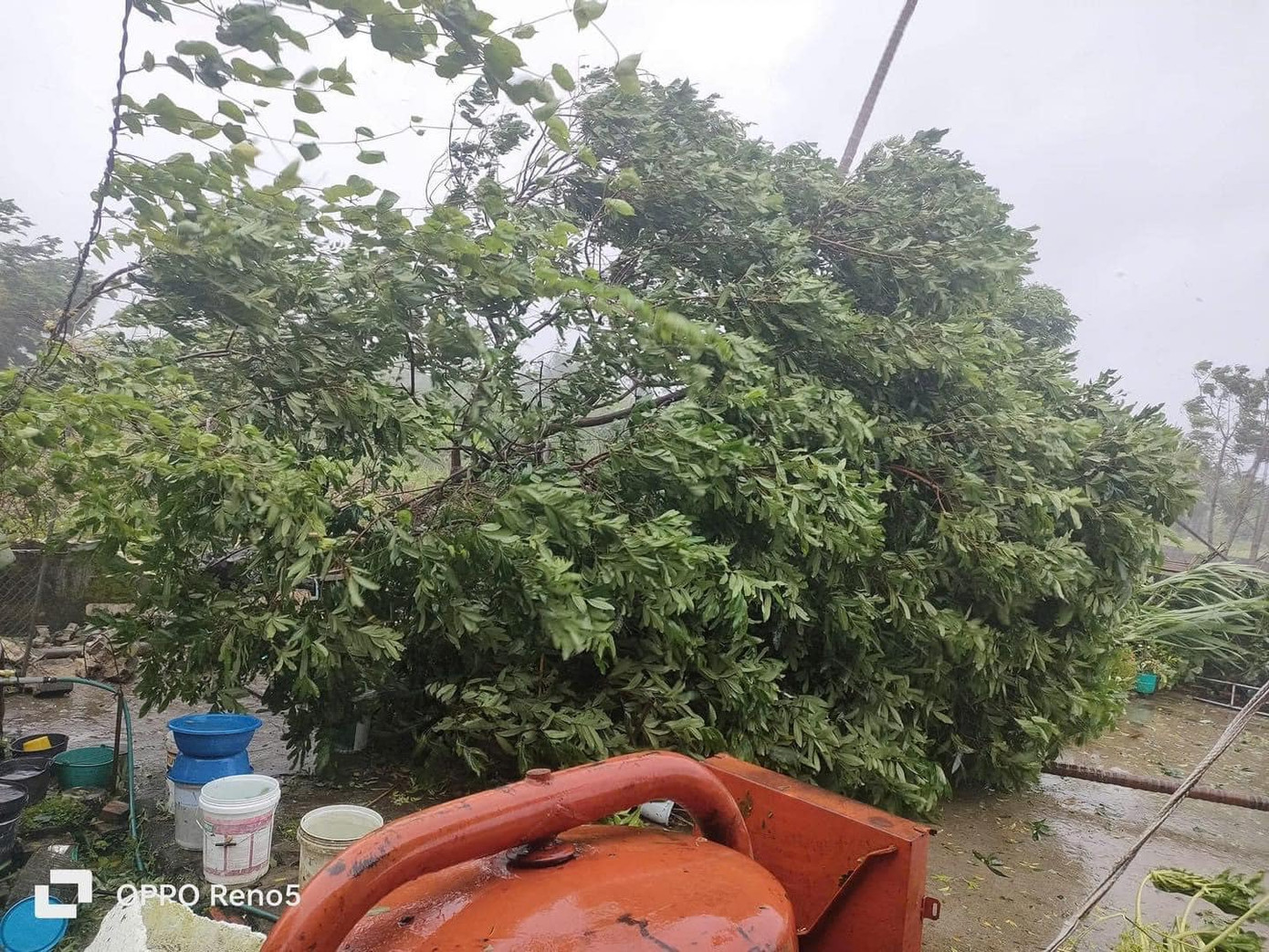 Nhiều nhà tại huyện Hải Hà, Quảng Ninh đã bị tốc mái. (Ảnh: Phạm Tùng)