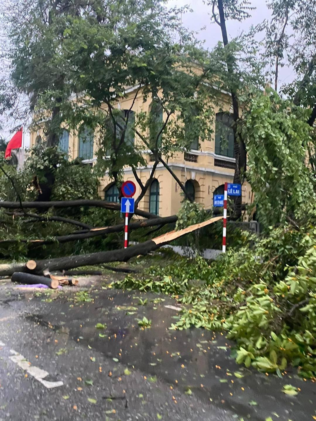 Hình ảnh một số tuyến đường tại Hà Nội cây đổ la liệt. (Ảnh: Hà Nội News)