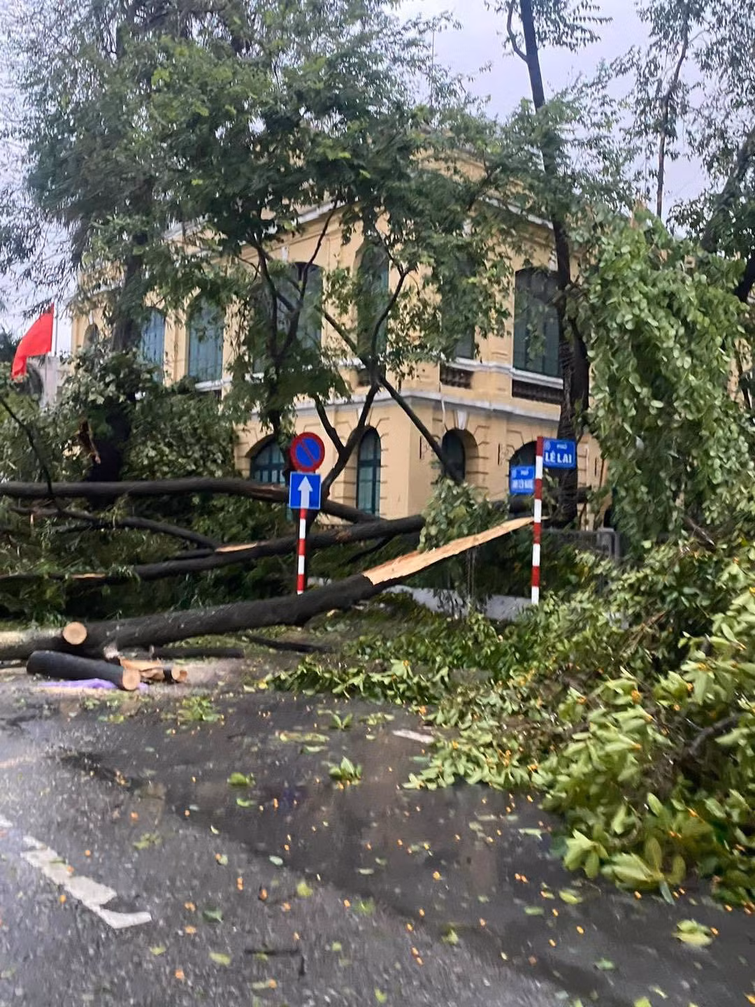 Hình ảnh một số tuyến đường tại Hà Nội cây đổ la liệt. (Ảnh: Hà Nội News) Hình ảnh một số tuyến đường tại Hà Nội cây đổ la liệt. (Ảnh: Hà Nội News)
