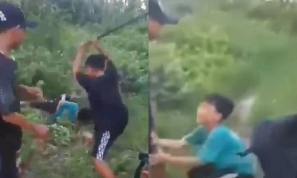 (Ảnh minh họa từ Internet)