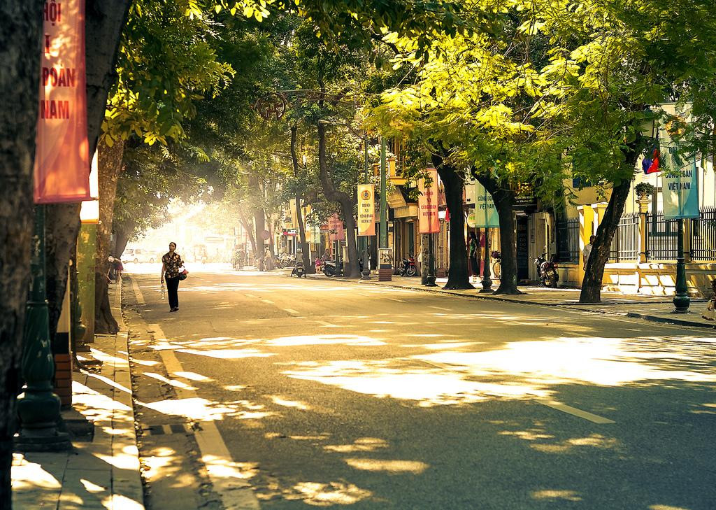 (Ảnh minh hoạ từ Internet)