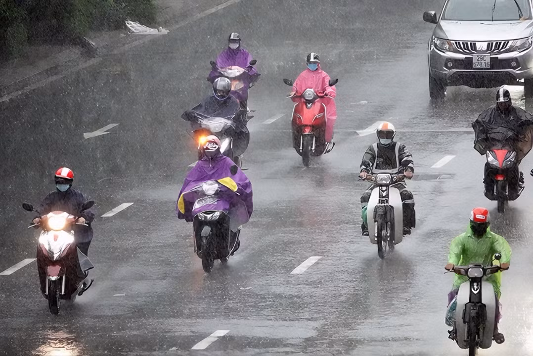 (Ảnh minh họa từ Internet)