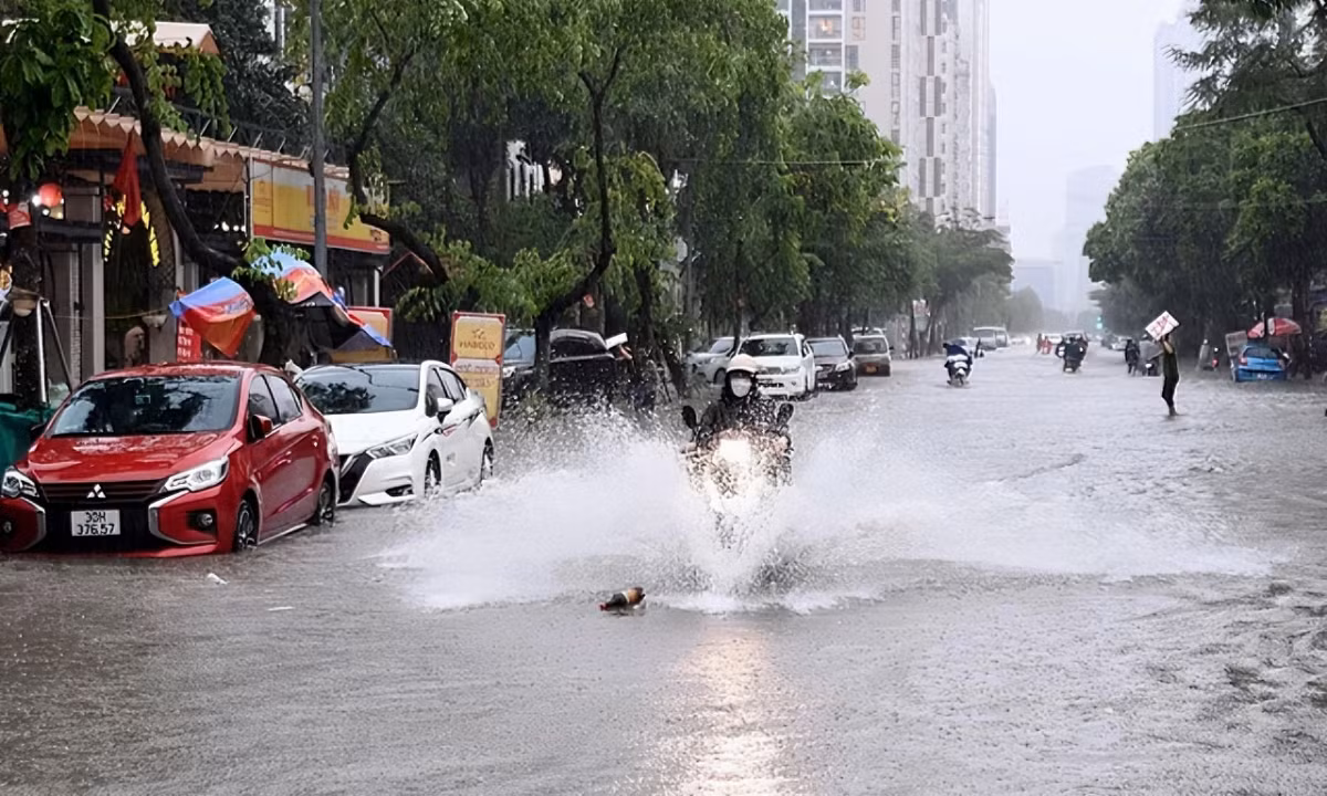 (Ảnh minh họa từ Internet)
