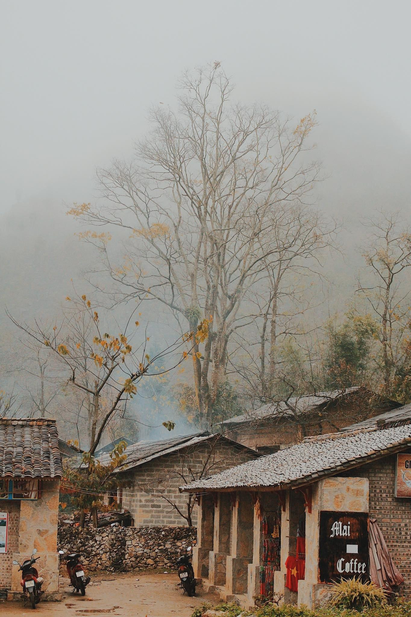 Nhà “Vua Mèo” nhìn ở một góc xa. (Ảnh: Nguyễn Hoàng Anh Minh) Nhà “Vua Mèo” nhìn ở một góc xa. (Ảnh: Nguyễn Hoàng Anh Minh)