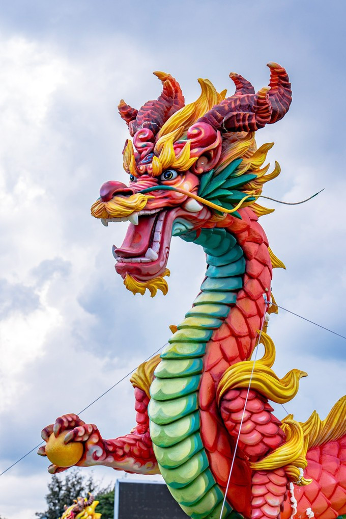 (Ảnh: Bình Định Online)