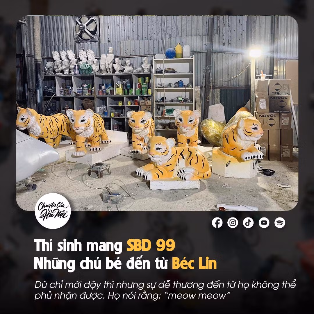 Thí sinh mang SBD 99 đến từ Bắc Ninh: Dù chỉ mới dậy thì nhưng sự dễ thương từ họ không thể phủ nhận được. Họ nói rằng "meo meo".