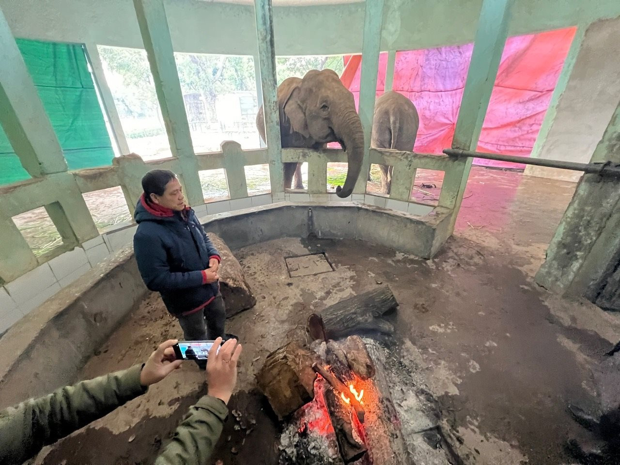 Ông Nguyễn Danh Cường đưa phóng viên đi tác nghiệp tại khu vực nhốt voi được sưởi ấm bằng hệ thống máy điều hòa và bổ sung thêm củi đốt bên trong, tấm che phía ngoài. Ông Nguyễn Danh Cường đưa phóng viên đi tác nghiệp tại khu vực nhốt voi được sưởi ấm bằng hệ thống máy điều hòa và bổ sung thêm củi đốt bên trong, tấm che phía ngoài.