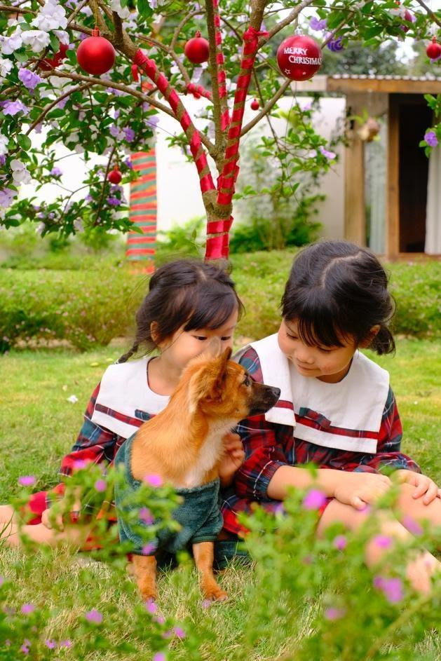 Chị Lan tranh thủ chụp những bức hình lưu giữ kỷ niệm về một mùa Giáng sinh đặc biệt cho các bé. Chị Lan tranh thủ chụp những bức hình lưu giữ kỷ niệm về một mùa Giáng sinh đặc biệt cho các bé.