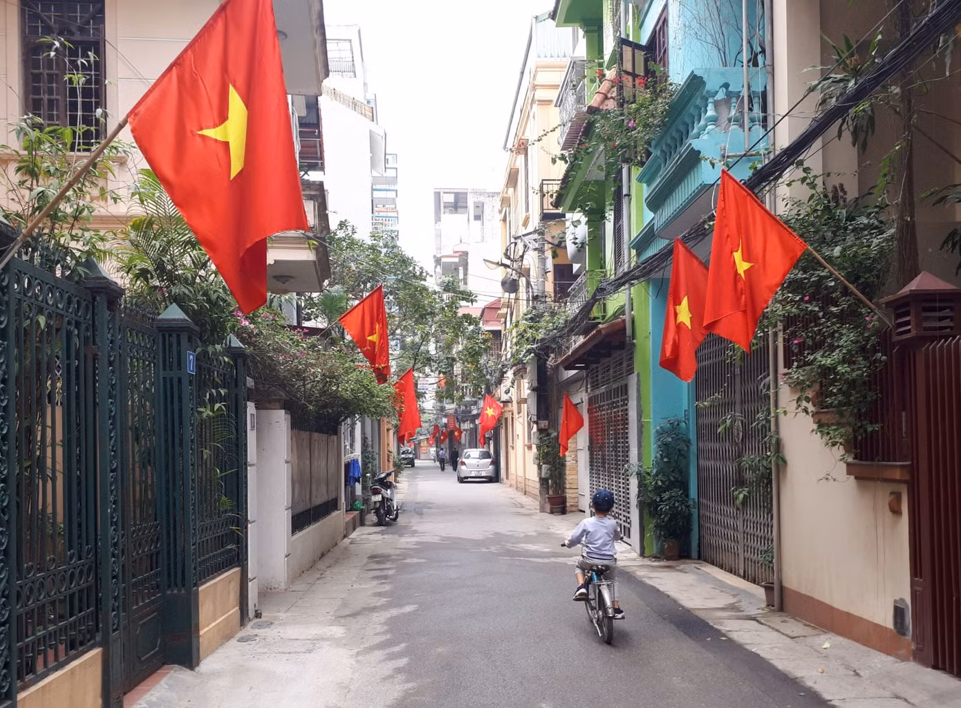 (Ảnh minh hoạ từ Internet)