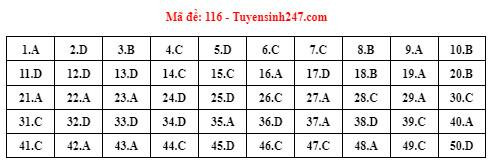 Đáp án tham khảo mã đề 116.