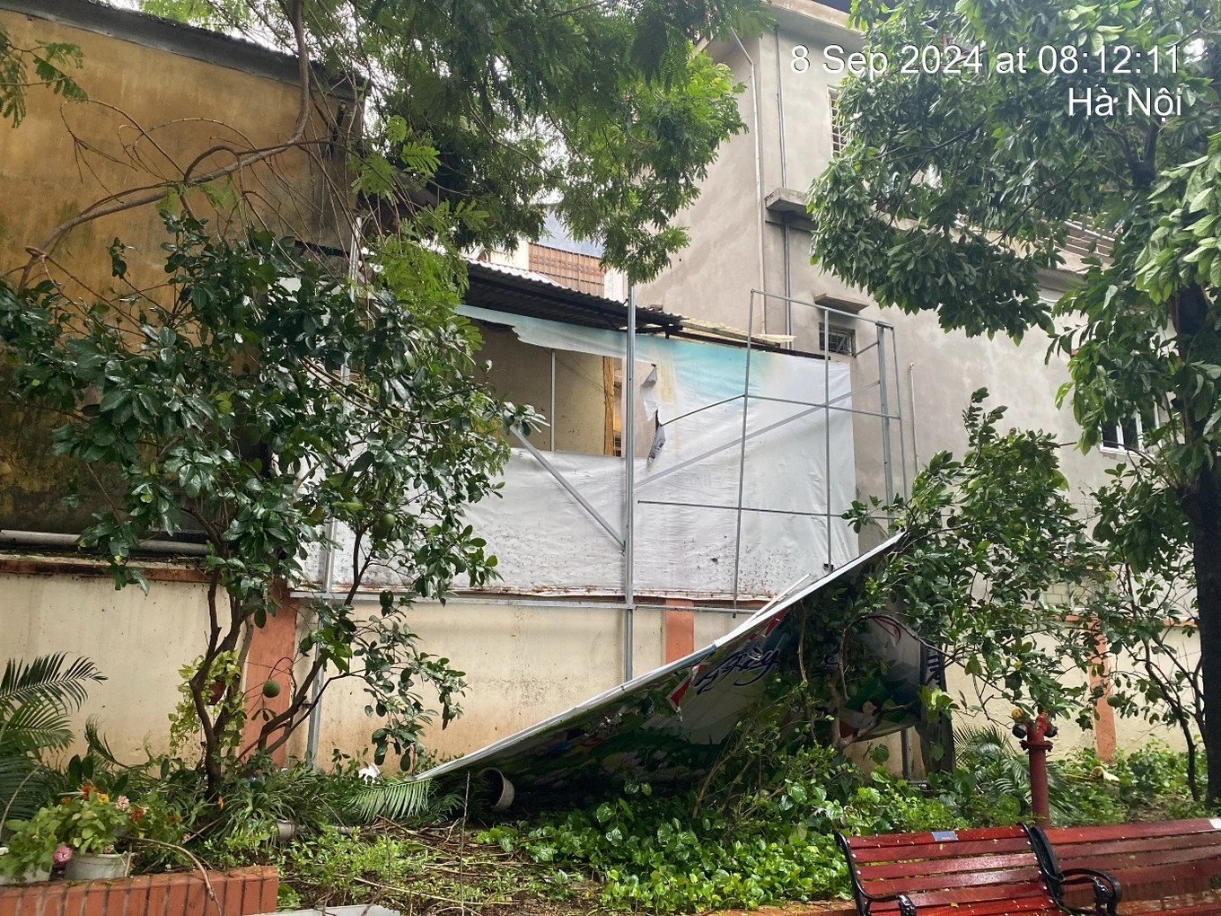 Nhiều trường học ở Hà Nội bị đổ cây xanh, mái che. (Ảnh: Trường THCS Ba Đình) Nhiều trường học ở Hà Nội bị đổ cây xanh, mái che. (Ảnh: Trường THCS Ba Đình)