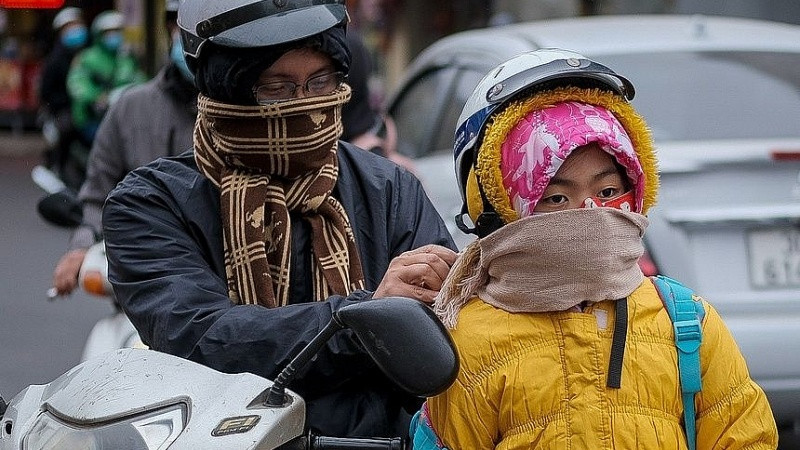 (Ảnh minh hoạ từ Internet)