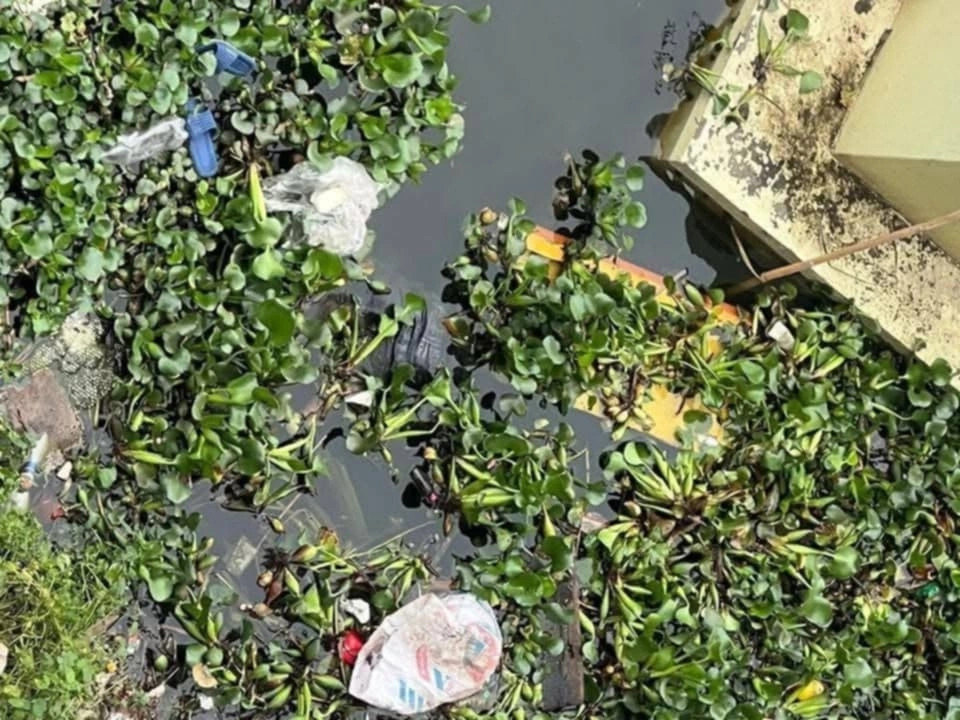 Nơi phát hiện thi thể bà L. ở dưới ao. (Ảnh: Xuân Hoa)