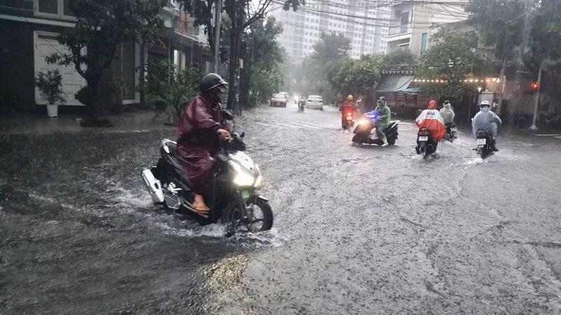 (Ảnh minh hoạ từ Internet)