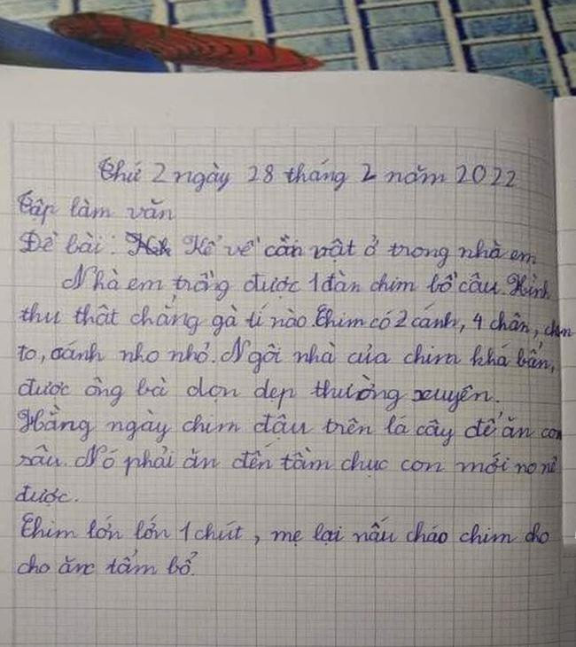 Bài văn tả chim bồ câu khiến dân mạng cười nắc nẻ. Bài văn tả chim bồ câu khiến dân mạng cười nắc nẻ.