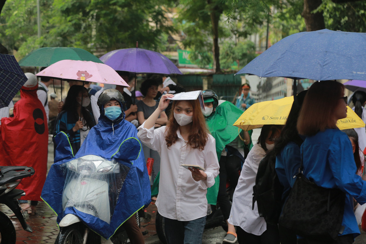 (Ảnh minh hoạ từ Internet)