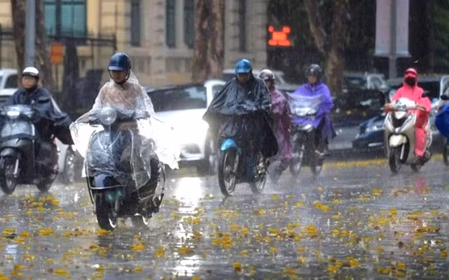 (Ảnh minh hoạ từ Internet)