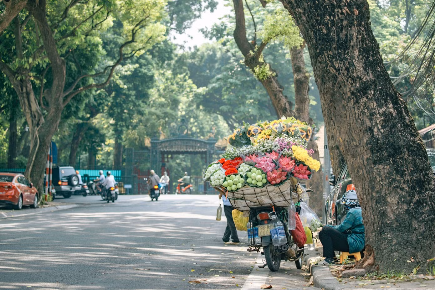 (Ảnh minh hoạ từ Internet)