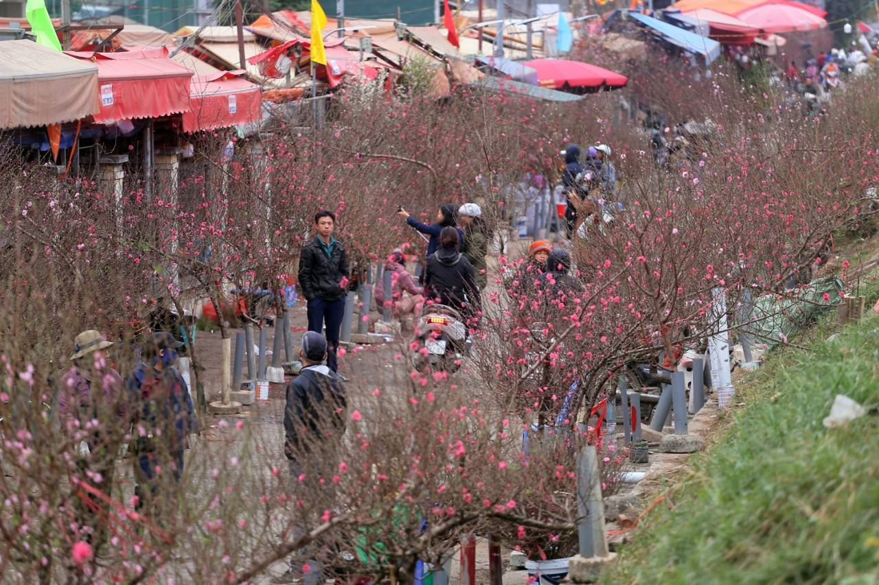 (Ảnh minh hoạ từ Internet)