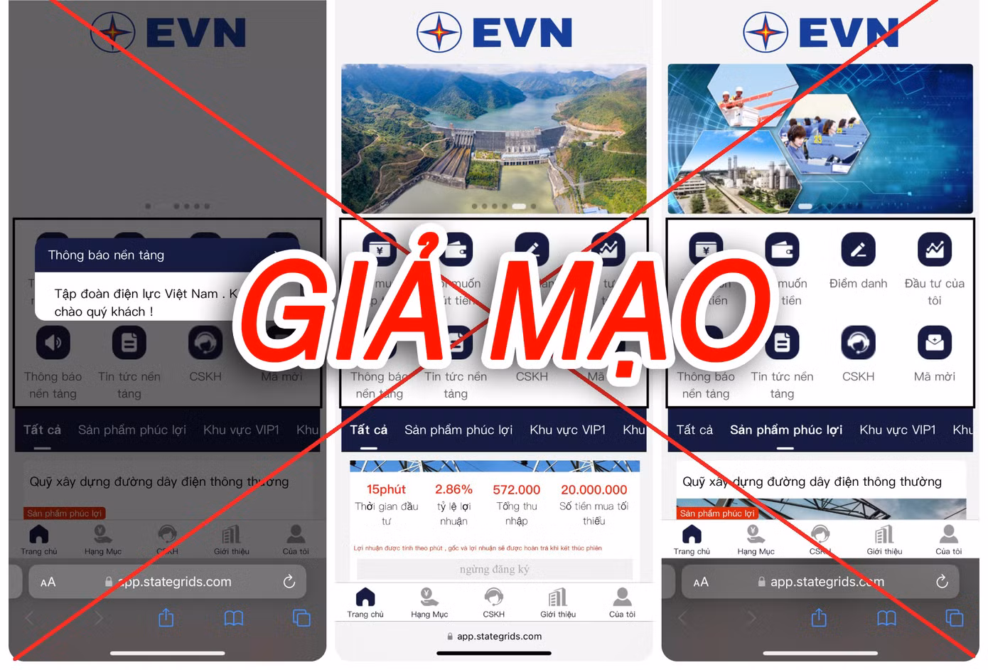 (Ảnh: Website EVN)